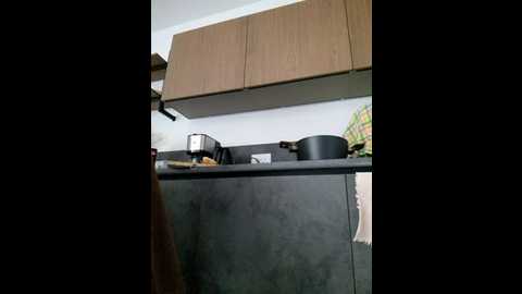 luna_veil @ stripchat on 20251204