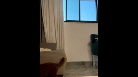 madlynginger @ stripchat on 20251204