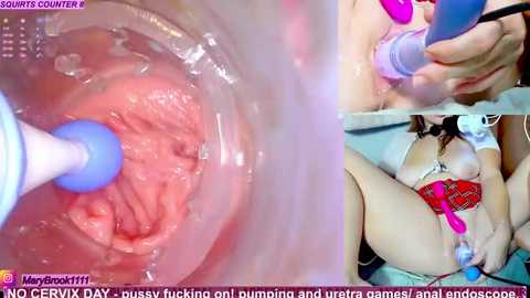 marybrook1 @ stripchat on 20251204