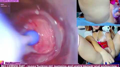 marybrook1 @ stripchat on 20251204