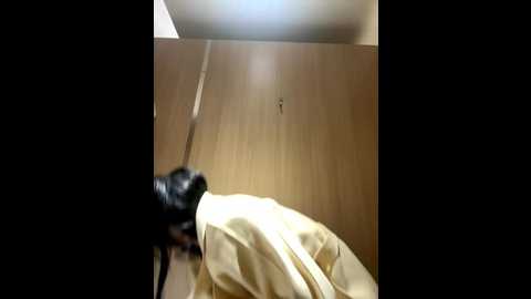 aibanana @ stripchat on 20251205