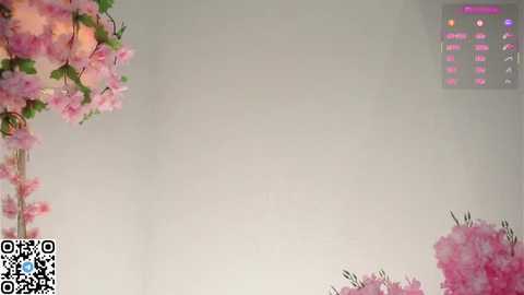 amilewis @ stripchat on 20251205