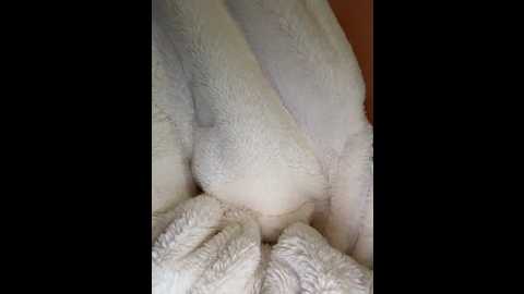 bebecita_x @ stripchat on 20251205