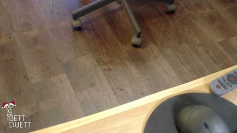 bettduett @ stripchat on 20251205