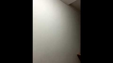 dd_52 @ stripchat on 20251205