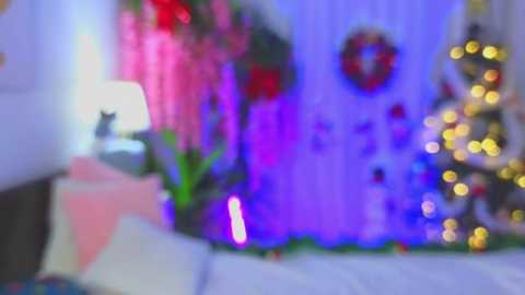 evahair @ stripchat on 20251205