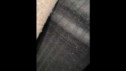 justmilaa @ stripchat on 20251205