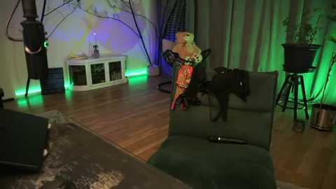 larapunkt @ stripchat on 20251205