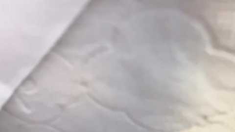 lt_333 @ stripchat on 20251205