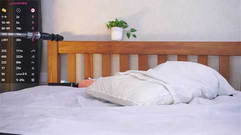 odetteaven @ stripchat on 20251205