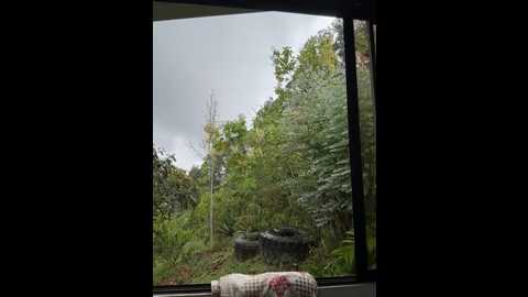 rose_andres @ stripchat on 20251205