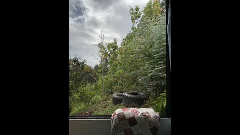 rose_andres @ stripchat on 20251205