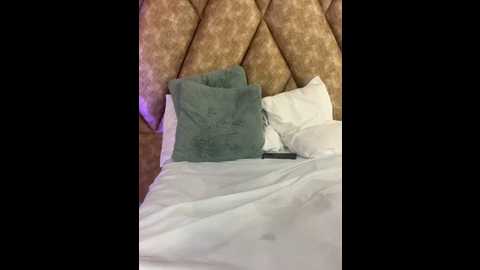 ssexcouplee @ stripchat on 20251205