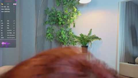 alice_dusk_ @ stripchat on 20251206