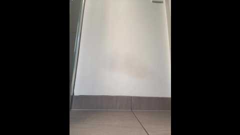 aus_queen @ stripchat on 20251206