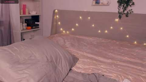 evasolisv @ stripchat on 20251206