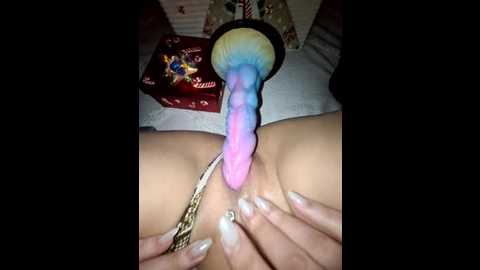 iitaniee @ stripchat on 20251206