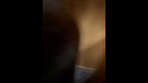 kittyqueeny @ stripchat on 20251206