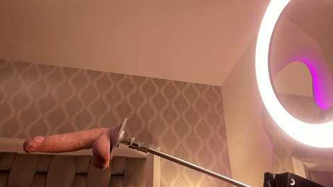 megan_leal1 @ stripchat on 20251206