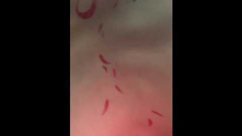 rinamay_ @ stripchat on 20251206