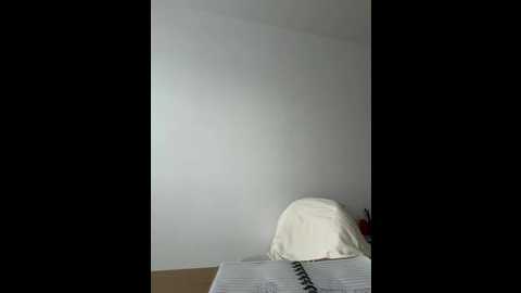 streetdoll @ stripchat on 20251206