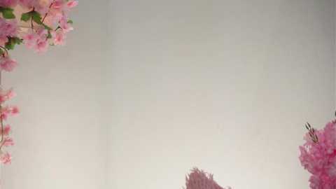 amilewis @ stripchat on 20251207