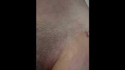 anita_vega @ stripchat on 20251207