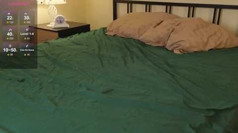 bonnie_white @ stripchat on 20251207