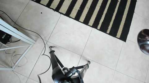 brutal_sex_room5 @ stripchat on 20251207