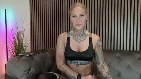 lara_cumkitten @ stripchat on 20251207