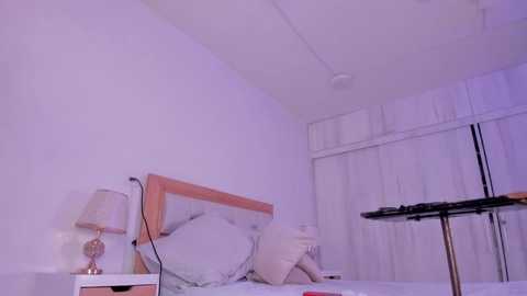 mia_hank @ stripchat on 20251207