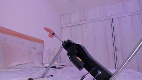 mia_hank @ stripchat on 20251207