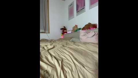 allisonssecret @ stripchat on 20251208