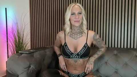 lara_cumkitten @ stripchat on 20251208