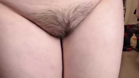 lt_333 @ stripchat on 20251208