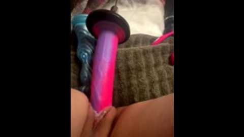 luisa1 @ stripchat on 20251208