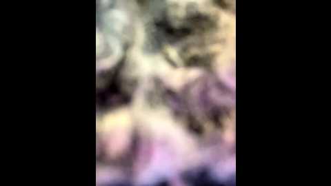 miiaaa_ @ stripchat on 20251208