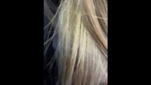 porn_cornn @ stripchat on 20251208