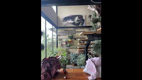 rose_andres @ stripchat on 20251208