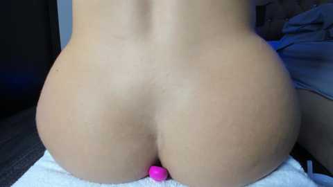 salytexas @ stripchat on 20251208