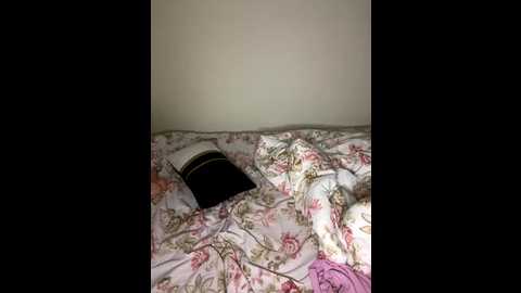 sandrasopretty @ stripchat on 20251208