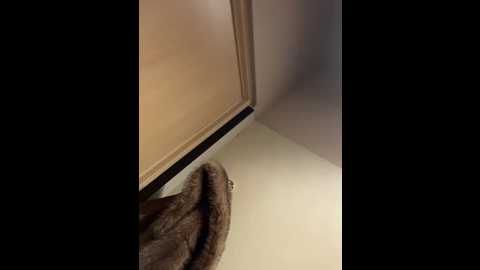 sashacatt @ stripchat on 20251208