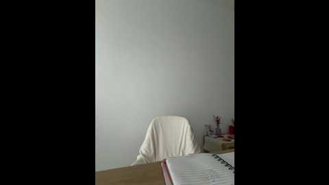 streetdoll @ stripchat on 20251208