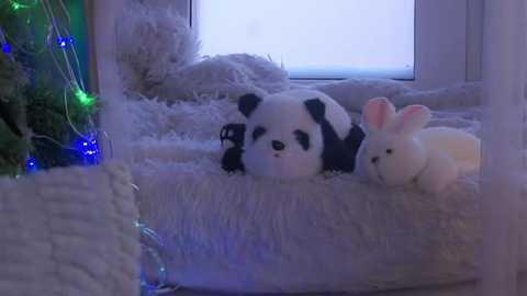 edlinhargus @ stripchat on 20251209