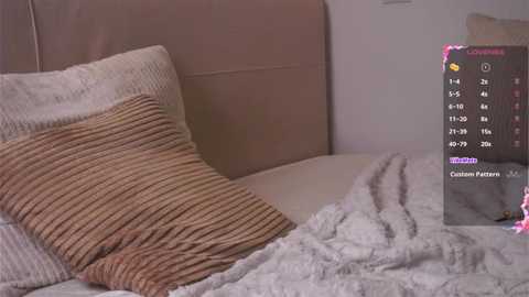 merricarros @ stripchat on 20251209