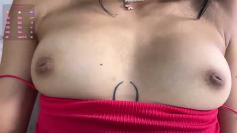 mrandmrsrivas @ stripchat on 20251209