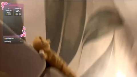 pandafluff @ stripchat on 20251209