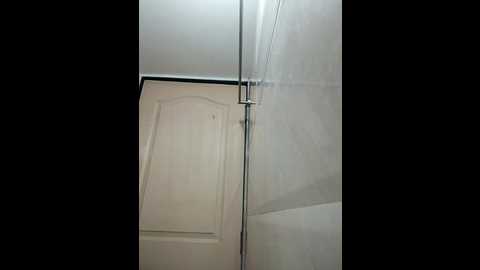 pushpa_rani1 @ stripchat on 20251209