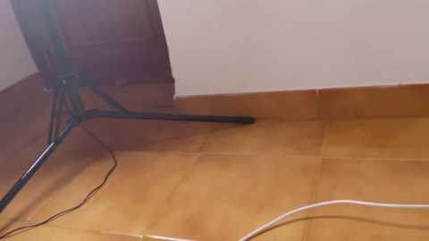 selenablumx @ stripchat on 20251209