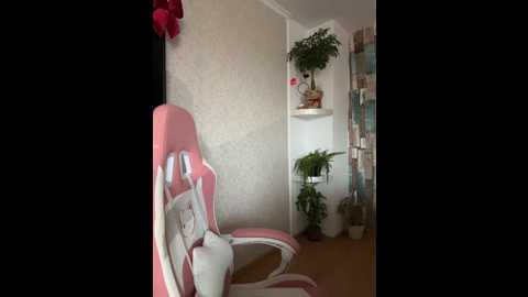 zenaidasasha @ stripchat on 20251209